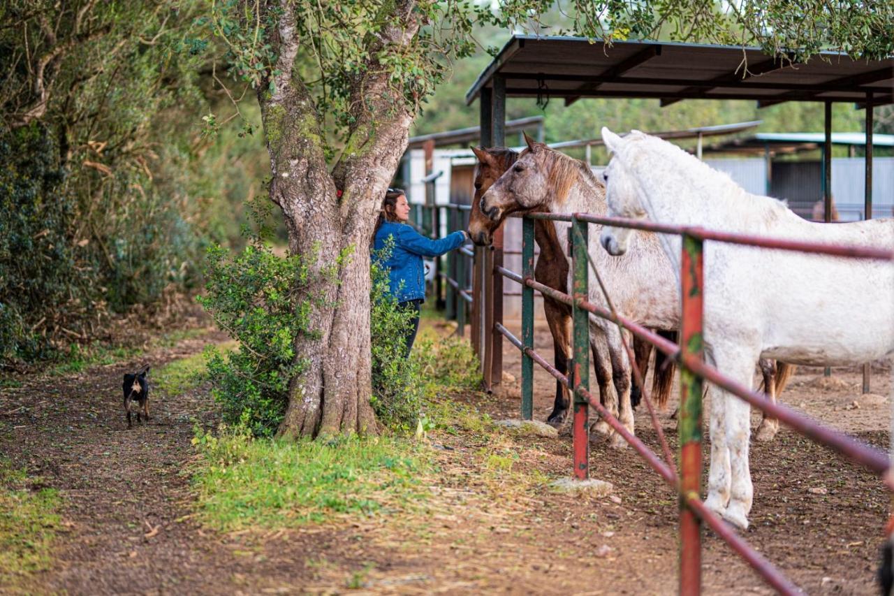 فيلانيتكس Finca Agroturismo Son Menut المظهر الخارجي الصورة