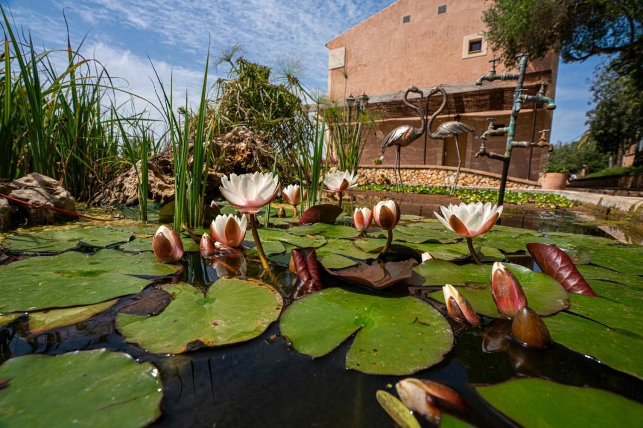 فيلانيتكس Finca Agroturismo Son Menut المظهر الخارجي الصورة