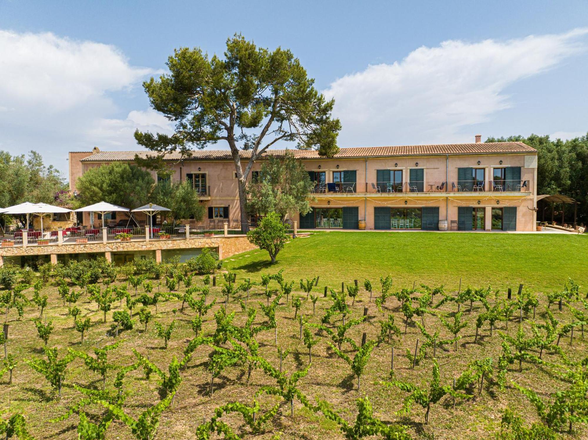 فيلانيتكس Finca Agroturismo Son Menut المظهر الخارجي الصورة