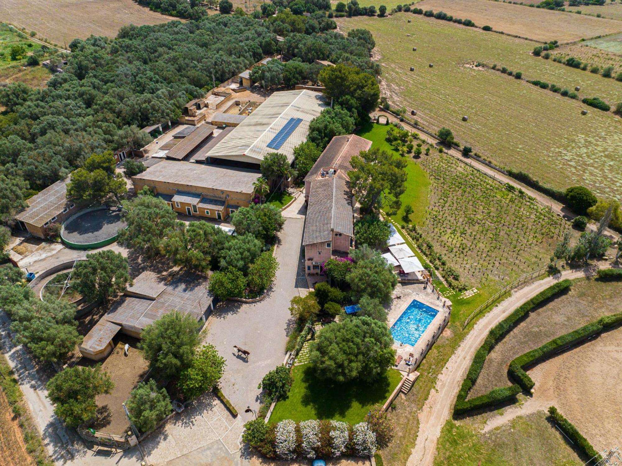فيلانيتكس Finca Agroturismo Son Menut المظهر الخارجي الصورة
