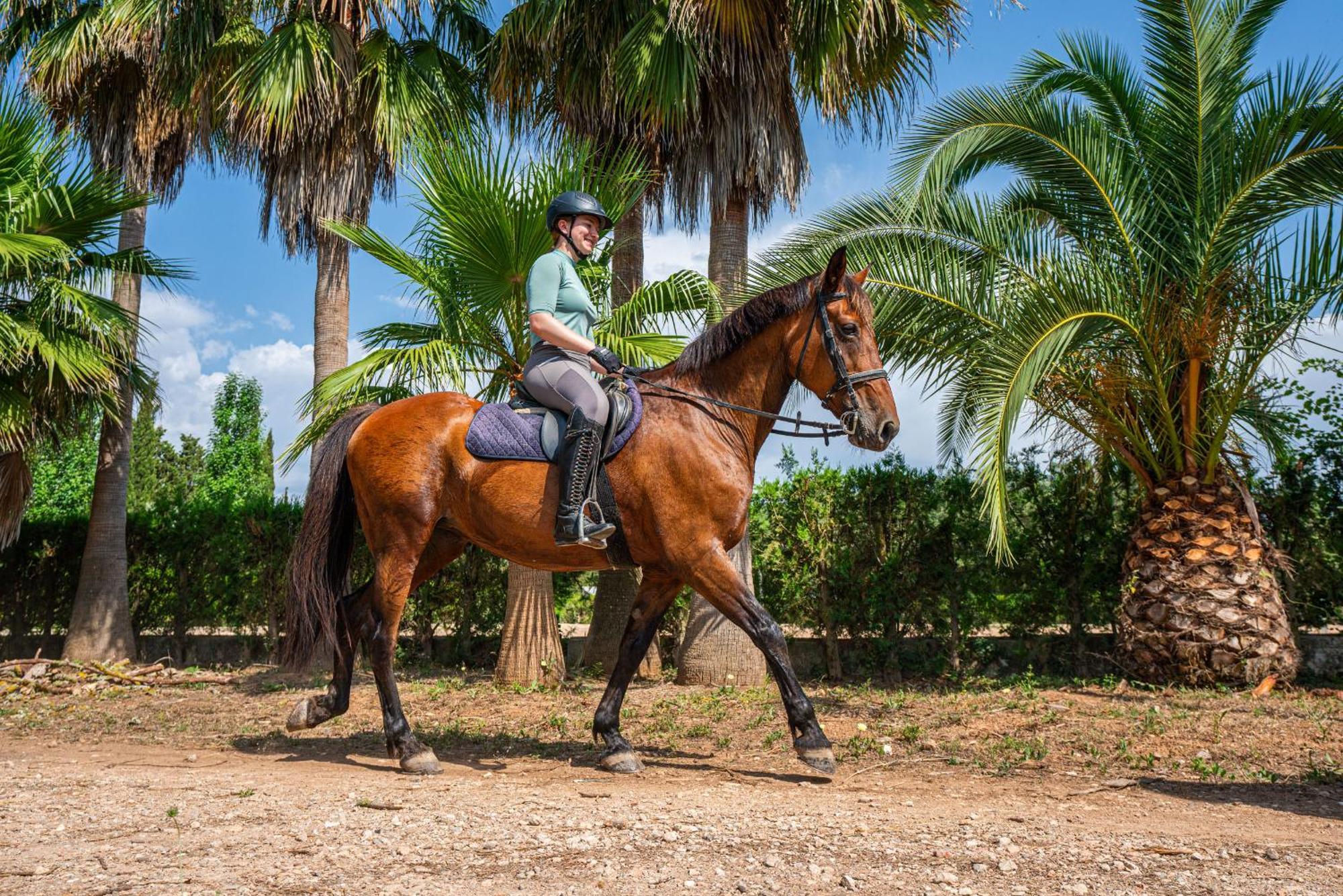 فيلانيتكس Finca Agroturismo Son Menut المظهر الخارجي الصورة