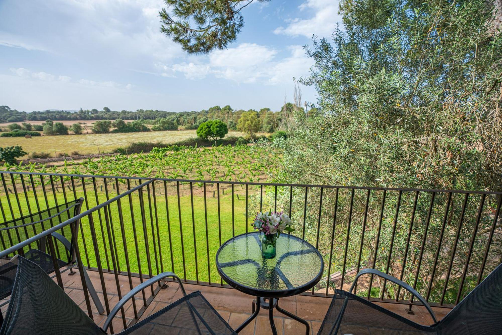 فيلانيتكس Finca Agroturismo Son Menut المظهر الخارجي الصورة